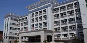 洛寧縣文化中心綜合大樓弱電智能化系統(tǒng)工程